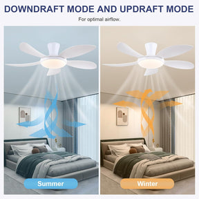 122Cm Flachbau-Deckenventilatoren Mit Licht Und Fernbedienung/App, Ventilator Mit Leisem Reversiblen Dc-Motor, Dimmbare & 6 Geschwindigkeiten, Moderne Deckenlüfter Für Schlafzimmer, Küche