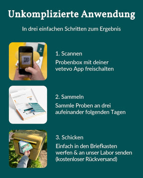 Vetevo Allergietest Pro Hund, Unverträglichkeitstest Hunde 150+ Unverträglichkeiten Speichelprobe Bei Juckreiz & Verdauungsprobleme, Testsieger