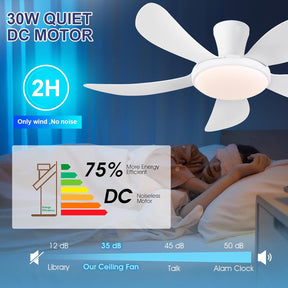 122Cm Flachbau-Deckenventilatoren Mit Licht Und Fernbedienung/App, Ventilator Mit Leisem Reversiblen Dc-Motor, Dimmbare & 6 Geschwindigkeiten, Moderne Deckenlüfter Für Schlafzimmer, Küche