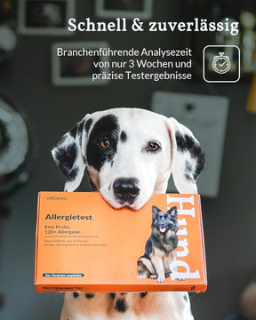 Vetevo Allergietest Pro Hund, Unverträglichkeitstest Hunde 150+ Unverträglichkeiten Speichelprobe Bei Juckreiz & Verdauungsprobleme, Testsieger