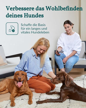 Vetevo Allergietest Pro Hund, Unverträglichkeitstest Hunde 150+ Unverträglichkeiten Speichelprobe Bei Juckreiz & Verdauungsprobleme, Testsieger